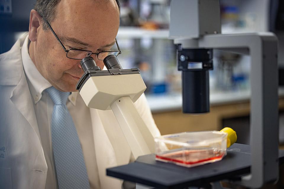 一位穿着实验室大褂的研究人员通过显微镜的双目镜观察.